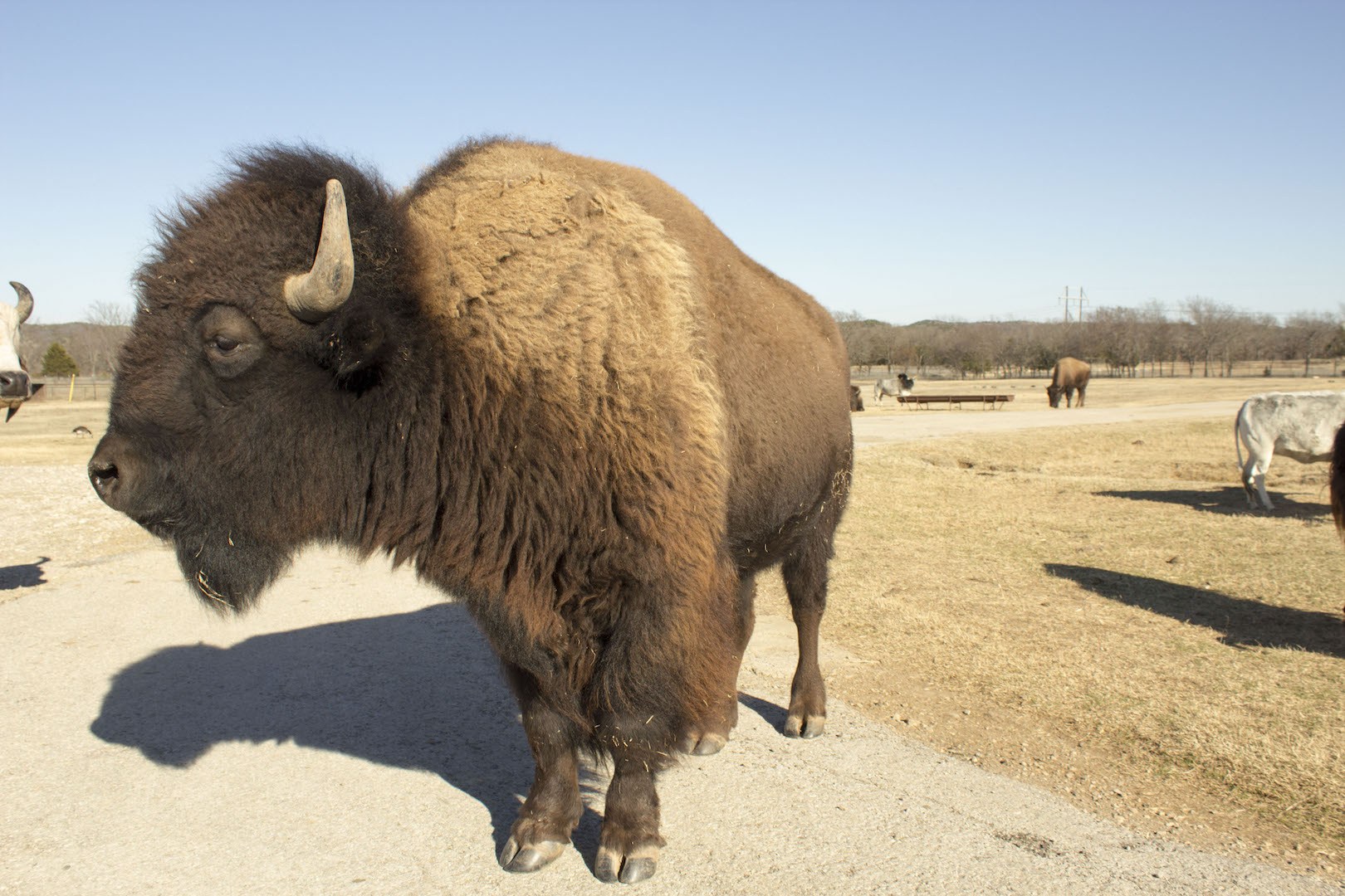 Arbuckle Wilderness Park