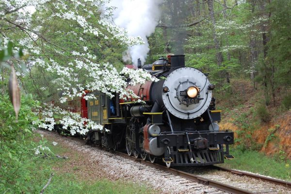 Texas State Railroad Train Ride